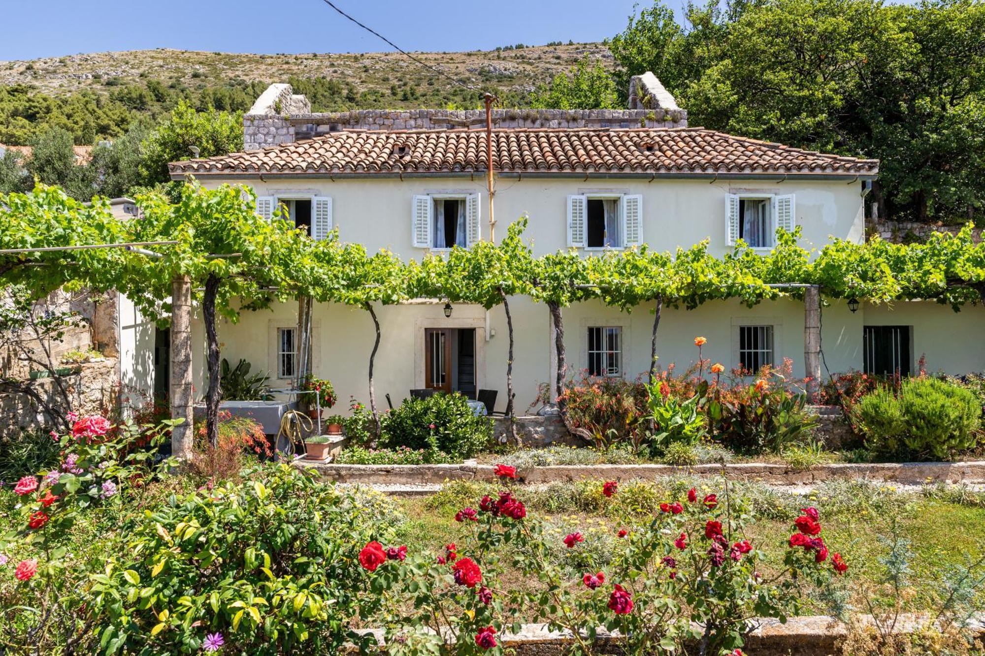 House - Private House With Seaview * Dubrovnik