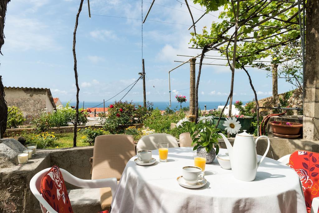 House - Private House With Seaview * Dubrovnik