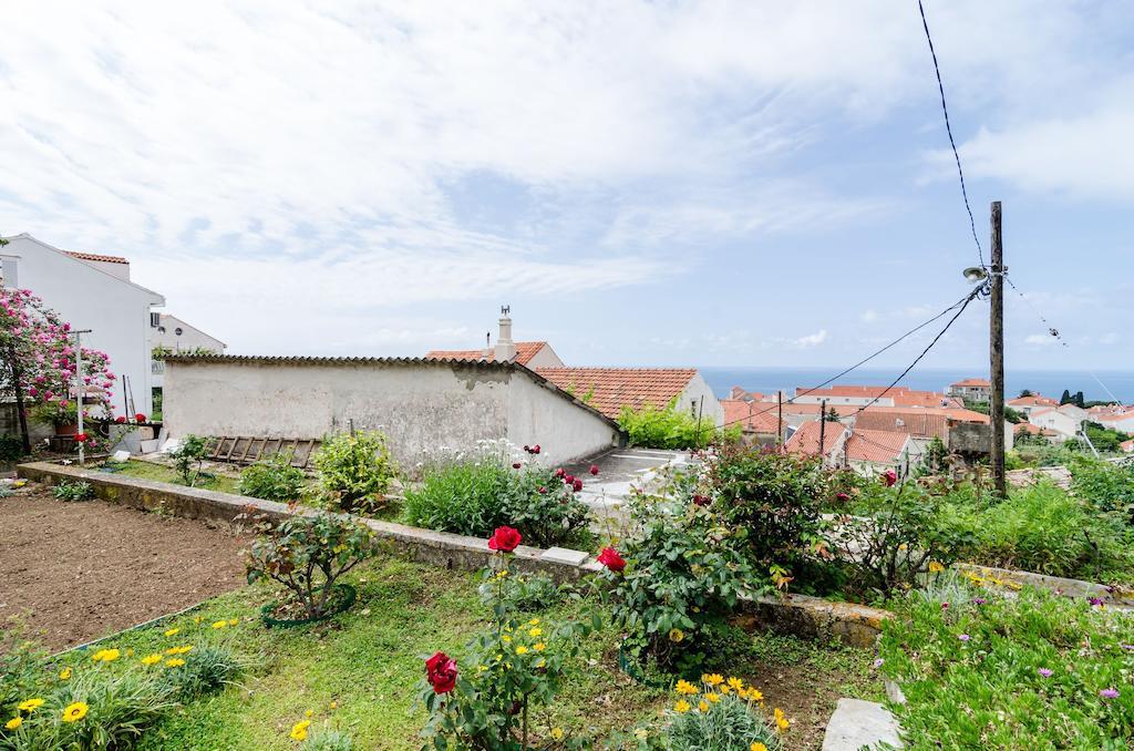 Apartment House - Private House With Seaview