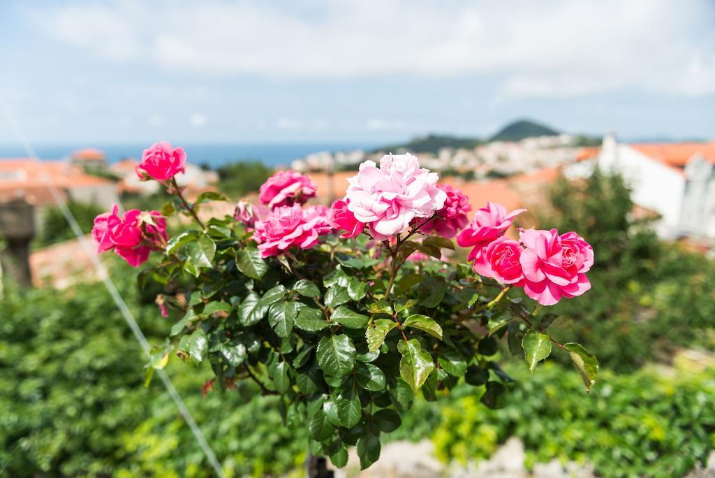 House - Private House With Seaview Apartment Dubrovnik
